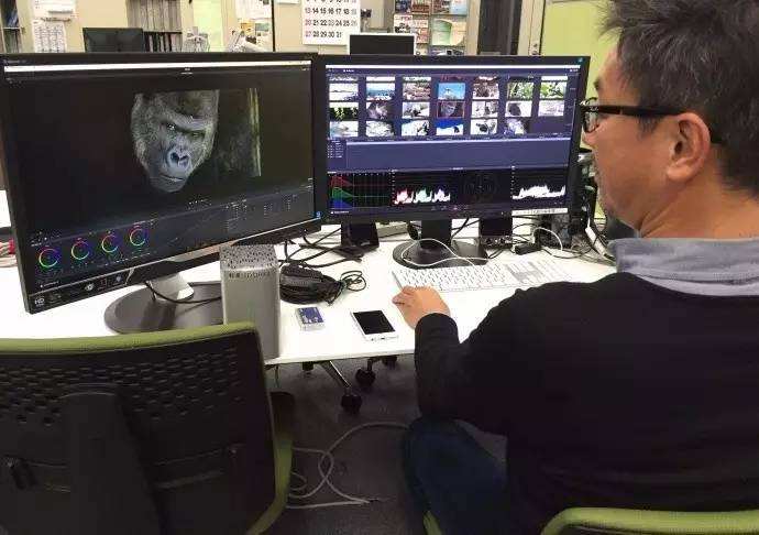 迷爾居 MI ER JU 招聘