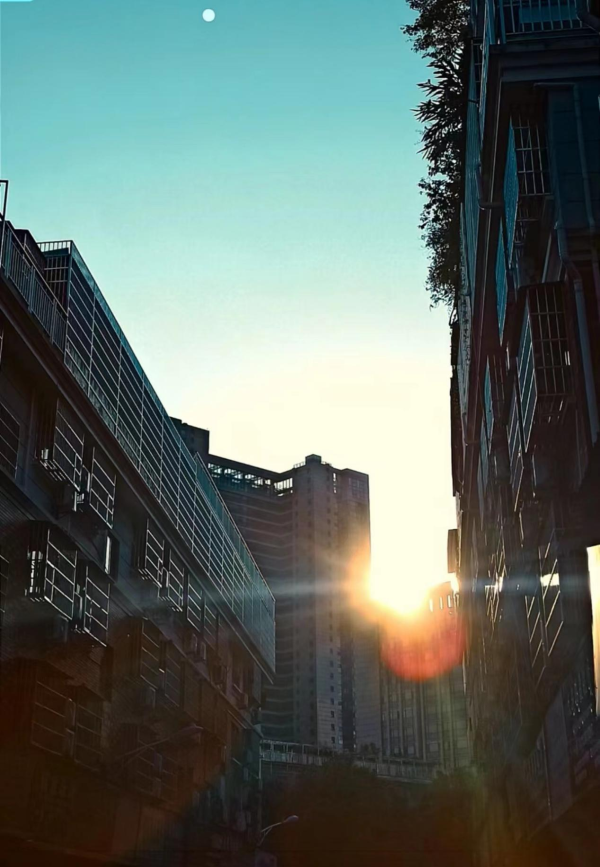 興趣是最好的老師，成就最好的自己